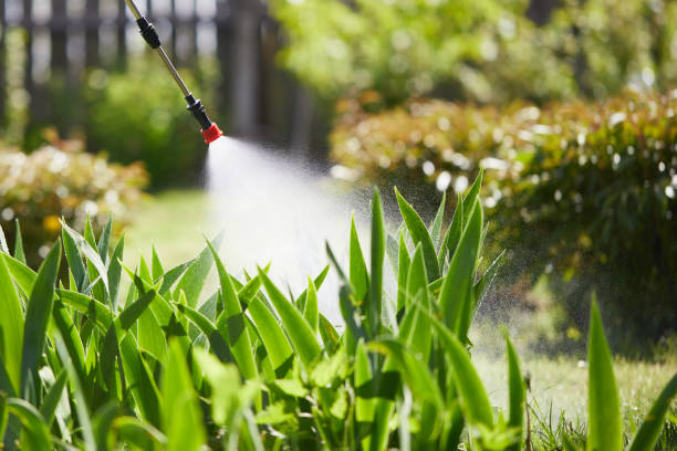 24/7 Emergency Ant Control experts in Trenton, OH