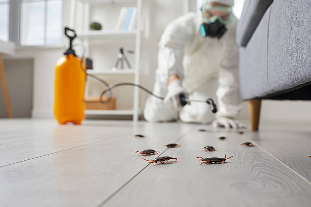 Trusted Cockroach Control service in Trenton, OH - Nex Pest Control