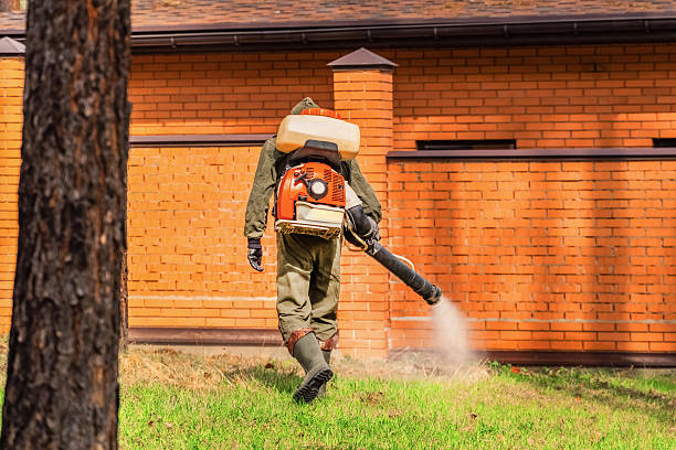 Trusted Rodent Control service in Trenton, OH - Nex Pest Control